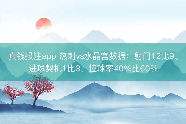真钱投注app 热刺vs水晶宫数据：射门12比9、进球契机1比3、控球率40%比60%