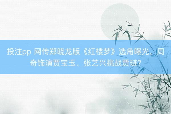 投注pp 网传郑晓龙版《红楼梦》选角曝光，周奇饰演贾宝玉、张艺兴挑战贾琏？