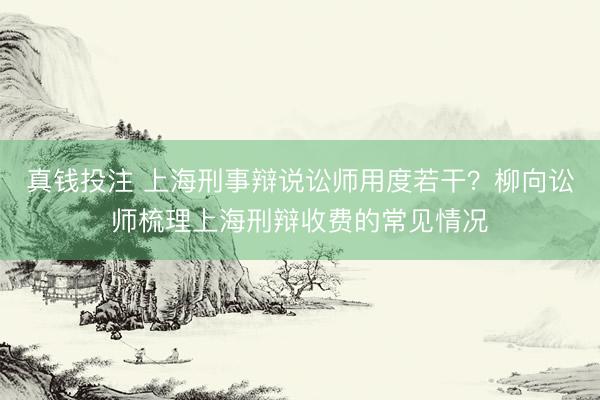 真钱投注 上海刑事辩说讼师用度若干？柳向讼师梳理上海刑辩收费的常见情况