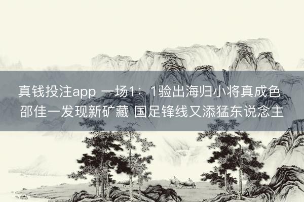 真钱投注app 一场1：1验出海归小将真成色 邵佳一发现新矿藏 国足锋线又添猛东说念主